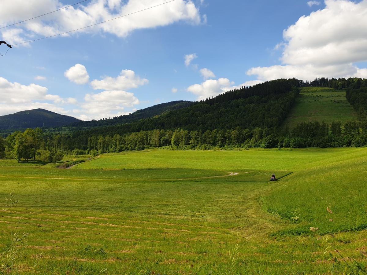 Apartament Stok O Krok Stronie Slaskie Luaran gambar